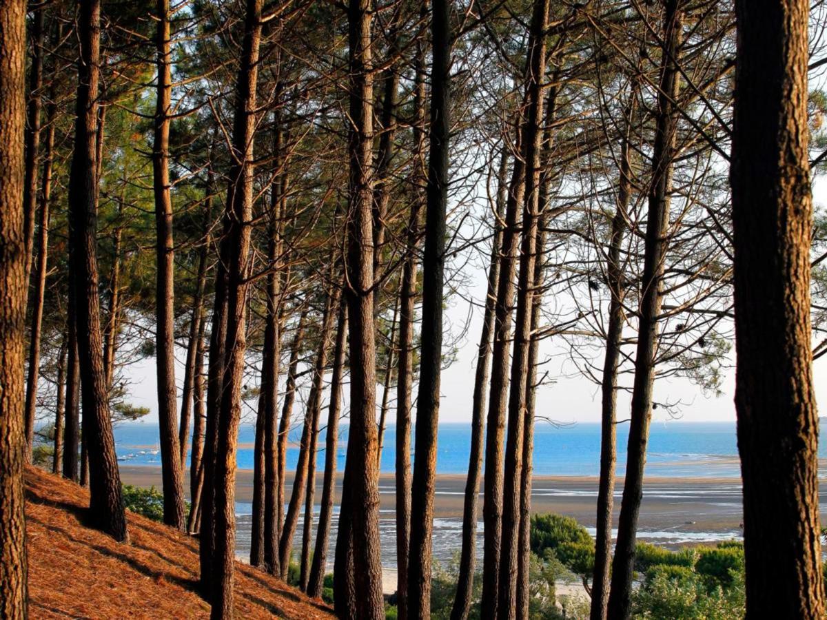 Maison Moderne Pres Plage Aiguillon - 2 Chambres, Terrasse, Jardin, Parking - Calme Et Confort - Fr-1-420-63 Arcachon Bagian luar foto